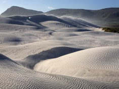 grootbos-dunes-near-uilenskraalmond