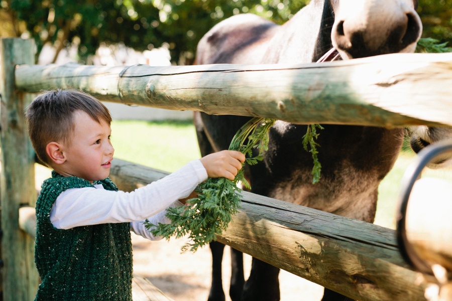 luxury farm stays western cape