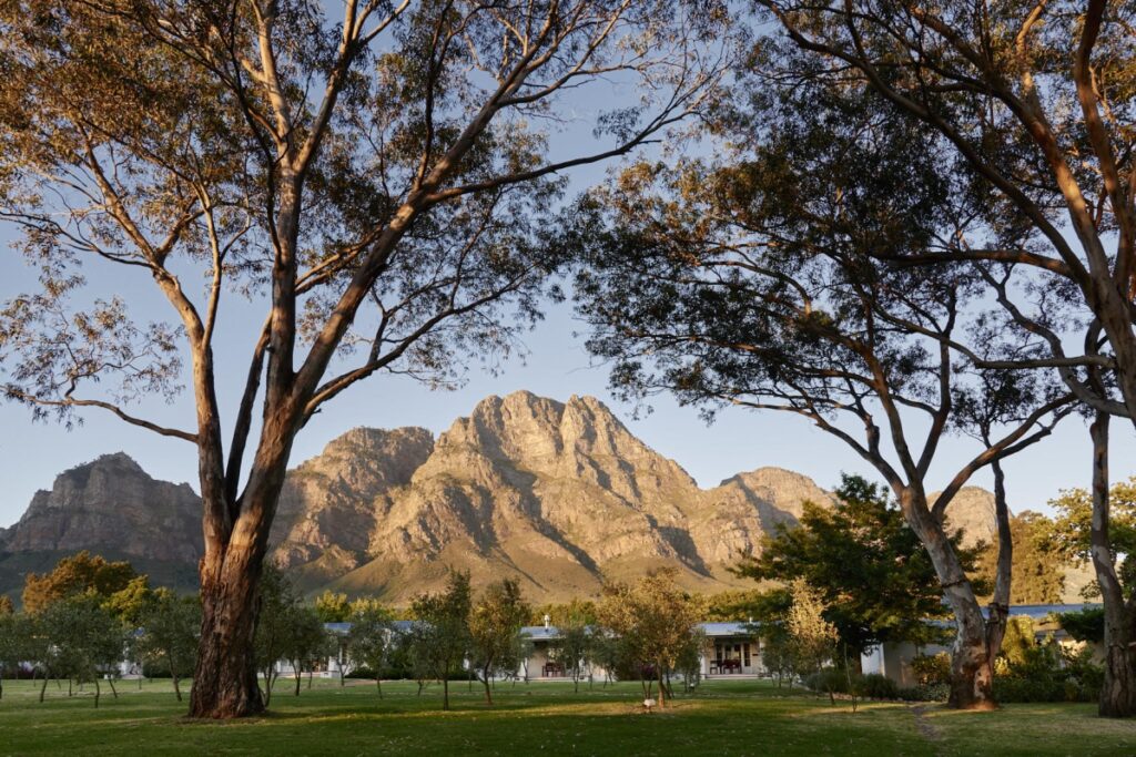 luxury farm stays western cape