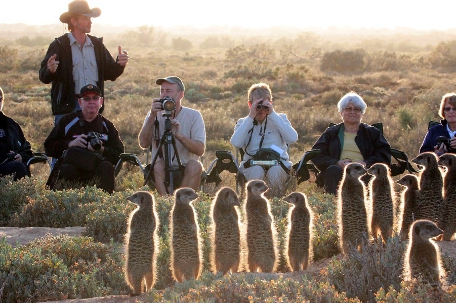 luxury farm stays western cape
