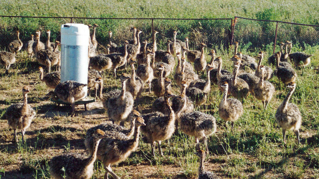 luxury farm stays western cape